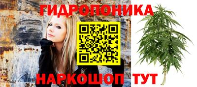 молекула духа Тверь