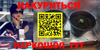 молекула духа Тверь