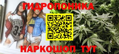 молекула духа Тверь