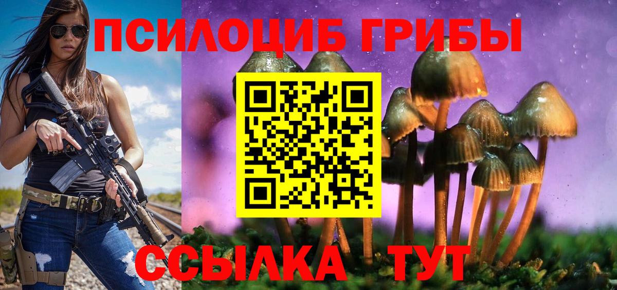 Ачхой-Мартан  Псилоцибиновые грибы Psilocybe  Вход с VPN  Псилоцибиновые грибы Psilocybine cubensis 